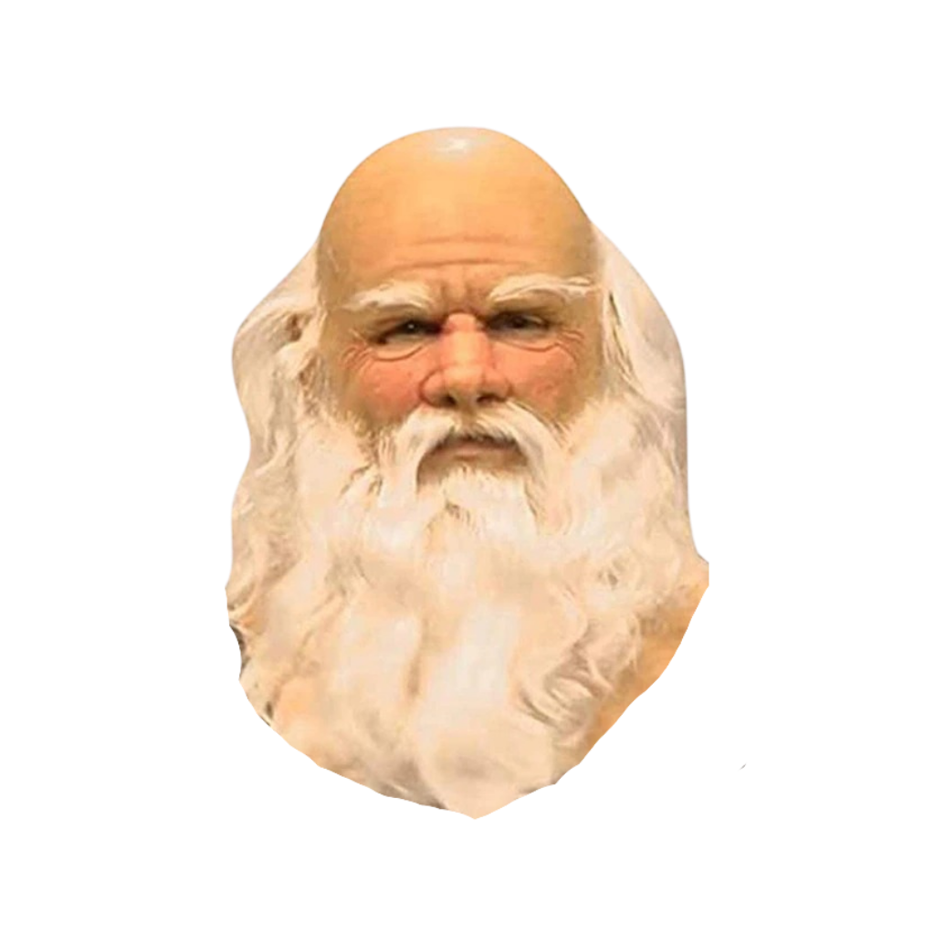 Santa Claus Mask