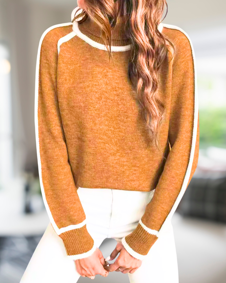 Lily™ - Cozy Turtleneck Sweater